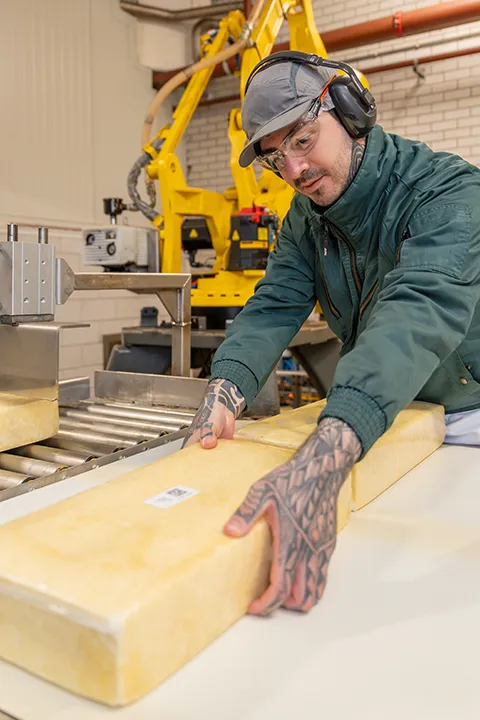 Medewerker verwerkt kaas in een productieomgeving tijdens een bedrijfsreportage.