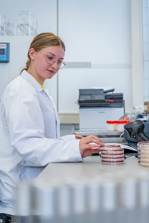 Laboratoriummedewerker onderzoekt petrischaaltjes tijdens kwaliteitscontrole.